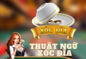 Thuật ngữ xóc đĩa: 20+ từ thông dụng nhất khi đặt cược