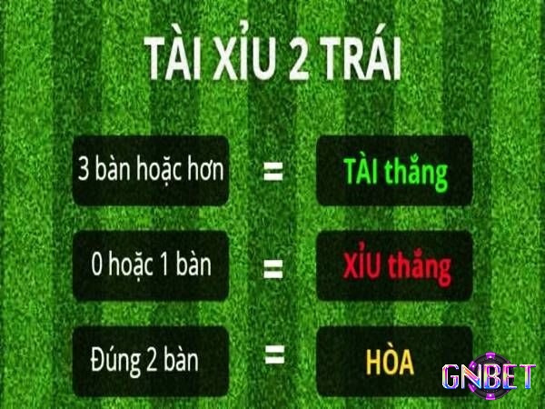 Tài xỉu 2 trái là sao - Kèo tài xỉu 2 trái có cách đọc rất đơn giản 