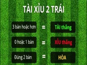 Tài xỉu 2 trái là sao? Hướng dẫn chơi kèo chính xác