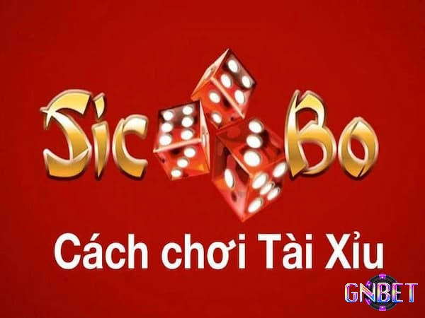 Hướng dẫn anh em bet thủ cách chơi game tài xỉu đơn giản và dễ hiểu nhất