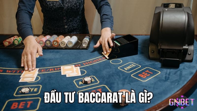 Tìm hiểu thông tin về đầu tư baccarat thông minh