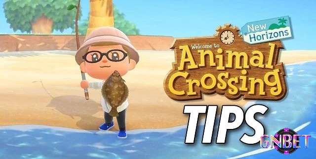 Animal Crossing: New Horizons tạo một không gian sáng tạo hoang dã, không giới hạn